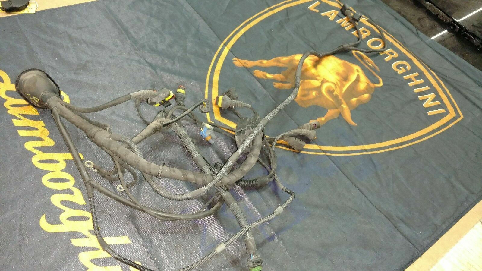 LAMBORGHINI GALLARDO FRONT LEFT DRIVER SIDE WIRING HARNESS PIG TAILS 