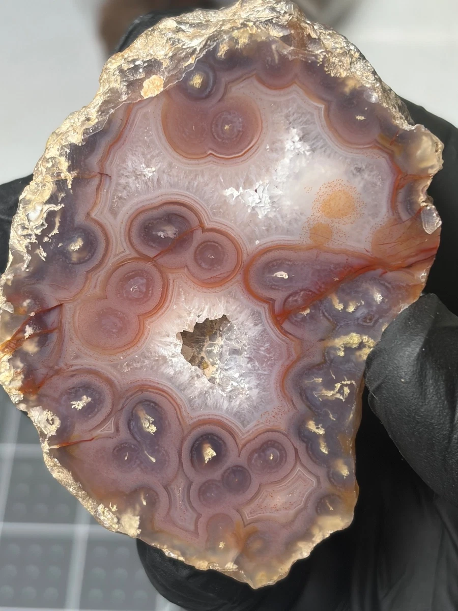 Laguna Agate for sale | eBay