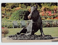Postcard "Tacca" Wild Boar The Butchart Gardens Victoria British Columbia Canada