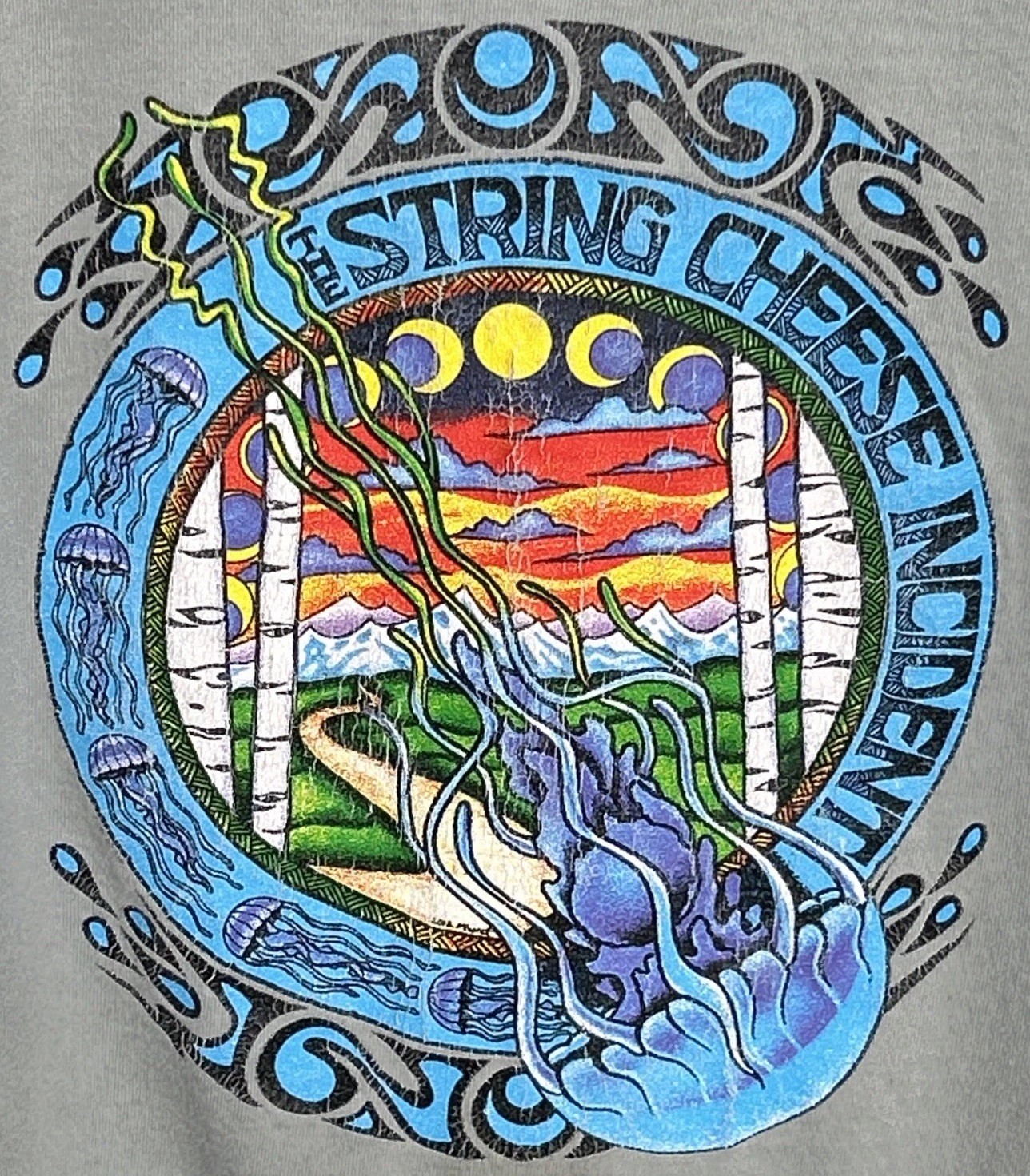 Vintage The String Cheese Incident Jam Band 2002 Tour Y2k T Shirt Cities Dates