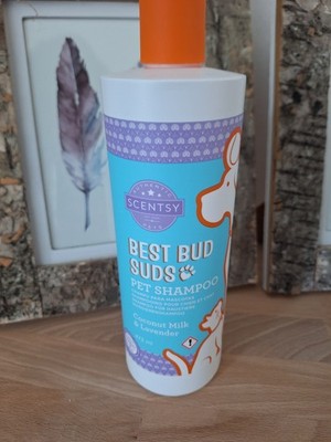 Scentsy Best Bud Suds Hundeshampoo   Coconut Milk & Lavender   Neu