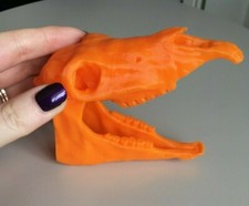 Horse Skull Animal Model Moving Jaw Bones 3d Printed Pick Your Colour