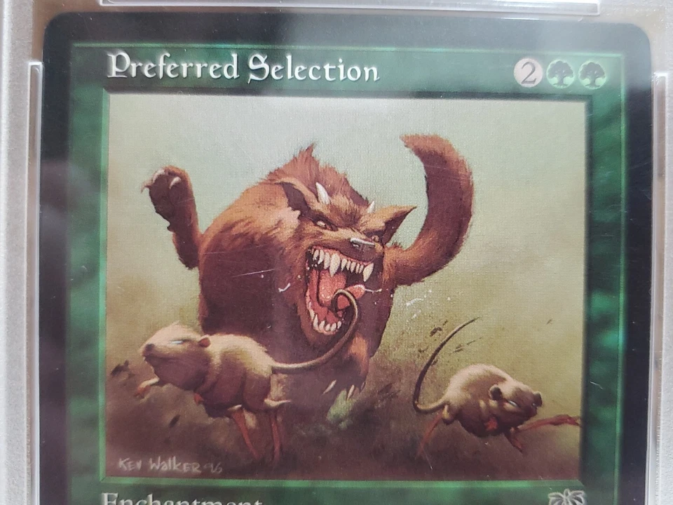 1996 Magic the Gathering MTG Mirage PREFERRED SELECTION PSA 10 Pop 1 Gem Mint  - Image 4 of 4