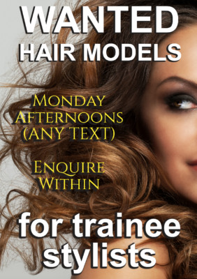 Laminiertes Poster Hinweisschild Friseure Salon Haarmodelle für Stylisten gesucht