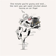 Funny Birthday Card Super Excited About Having An Air Fryer Humour Joke