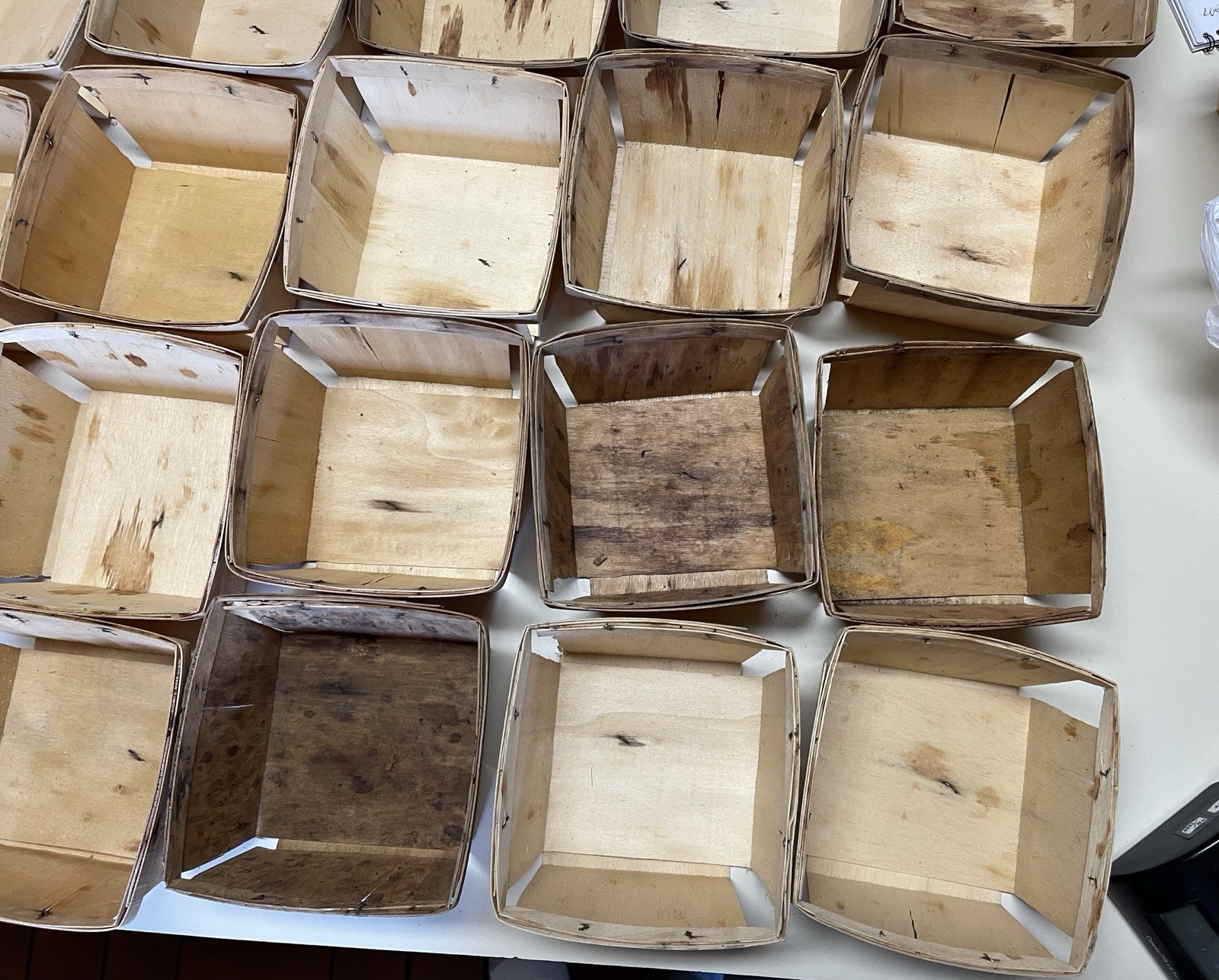 VINTAGE STRAWBERRY  WOODEN QUART BASKETS - Lot of 60