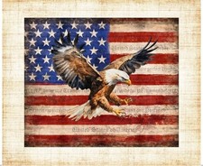 Patriotic Eagle Flag Fabric 36" X44" Panel Rustic Patriot America Cotton by QT