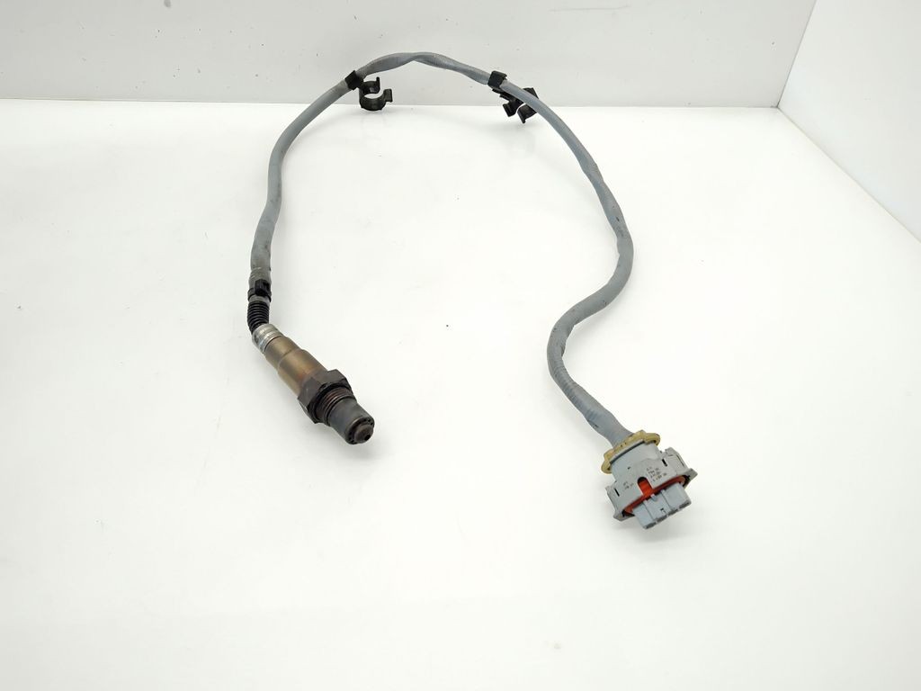 Foto 2 di 5