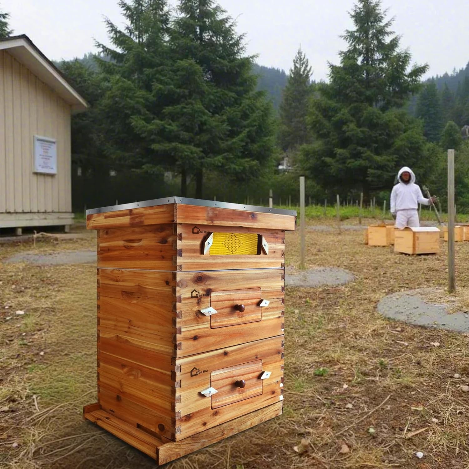 10 Frame Beehive Beeswax Coated(2 Deep Brood Bee Boxes & 1 Medium Super Bee Box)
