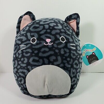 Squishmallow 8” XIOMARA BLACK Leopard CAT Plush 2021 NWT Kitty Chemistry  734689538317 | eBay