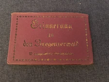 Souvenir 1928 Postcard Album, Bregenzerwald, Austria