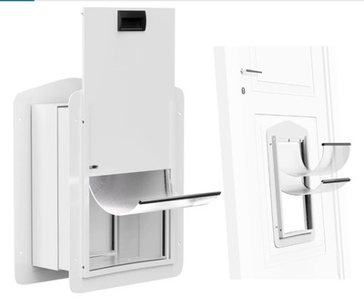 Double-Flap Pet Door for Wall and Door, with Closing Panel and Lock, X-Large