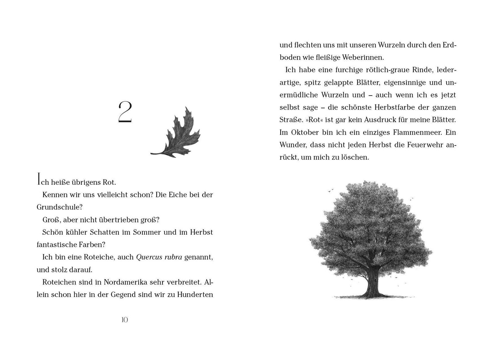 Thumbnail - Baum Der Wünsche | Katherine Applegate | Deutsch | Buch | 224 S. |