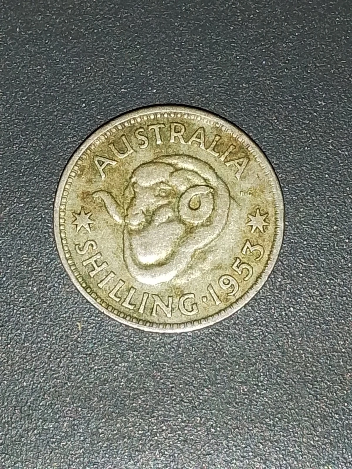 Picture 12 of 14