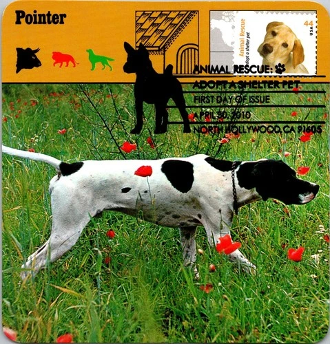 Dr Jim Stamps Maximum Card Animal Rescue Adopt A Shelter Pet 44C Fdc