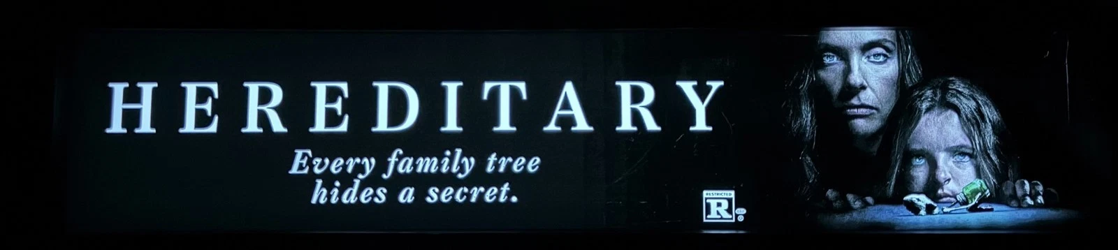 📽 Hereditary (2018) - Ari Aster - Movie Theater Mylar Poster 5x25