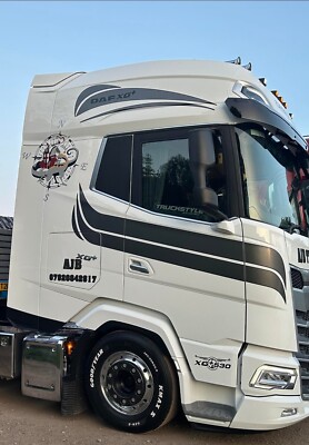 GRAU Premium Qualität VERDUNKELUNGSVORHÄNGE niederländischer Stil SCANIA DAF XG VOLVO MERC MAN