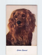 Postcard Cocker Spaniel