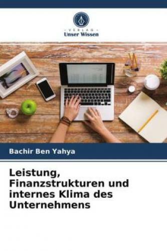 Leistung, Finanzstrukturen Und Internes Klima Des Unternehmens 6465