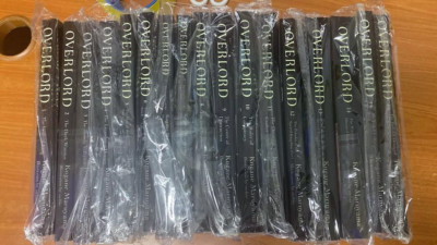 OVERLORD Light Novel Vol. 1-16 English Version by Kugane Maruyama-EXPRESS SHIPP