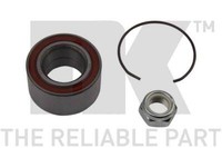 NK 753909 Wheel Bearing Kit For Renault