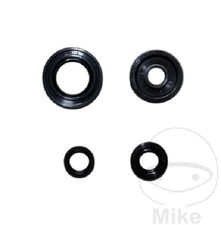 KIT PARAOLIO MOTORE YAMAHA YZF-R 125, WR 125 MINARELLI 125 4T ENTRA X APPLICAZIO