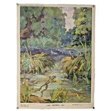 Save Nature Poster ☭ Wild Nature Animals ☭ Rare Soviet Green Party Poster 1984