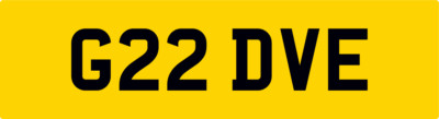 DAVE THEME PRIVATE CAR NUMBER PLATE DAVE DAV DAVEY DAVID NEAT OLD G REG G22 DVE
