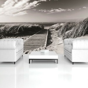 Vlies Fototapete Strand Nordsee Meer Dunen Natur Schwarz Und Weiss Tapete Xxl 25 Ebay
