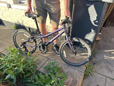 Saruna Junior Hybrid Bike Carrera Saruna Handlebar Adjustment