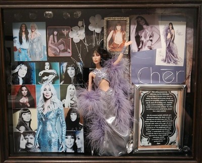 Cher Custom Made Decorative Shadow Box (3D) Unique & One Of A Kind! 