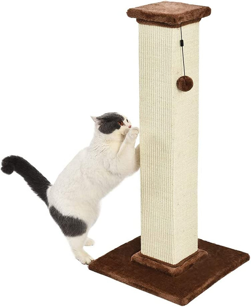 OFFERTA Tiragraffi Professionale 89cm | Robusto, Alto e Indistruttibile