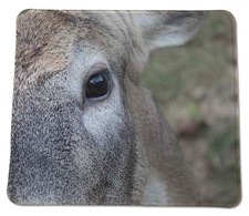 Close up Whitetail Deer wildlife Country Anti slip COMPUTER MOUSE PAD 9 X 7inch