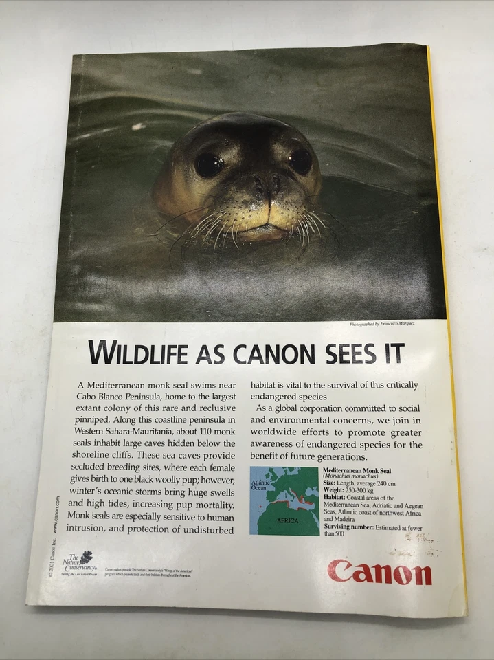 NATIONAL GEOGRAPHIC February 2001 Jewel Scarabs, Bushmen, The Andes, Mars Foto 4 de 4