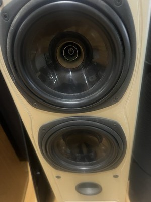 Tannoy Saturn S6 Champagne Tower Speakers – Audiophile British