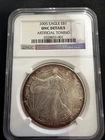 2005 American Silver Eagle Coin 1 oz $1 - UNC In Slab Artificial Toning