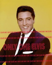 1963 ELVIS PRESLEY in the MOVIES "IT HAPPENED at the WORLD'S FAIR" Photo 02