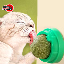 Promote Digestion Natural Catnip Cat Wall Stick-on Ball Natural Removes Hair