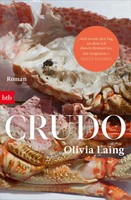 Crudo | Roman | Olivia Laing | Taschenbuch | 160 S. | Deutsch | 2026