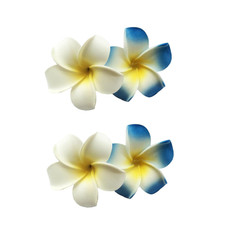 4Pcs 7Cm Flower Hawaiian Frangipani Plumeria Clips and Barrettes Foam Head Flowe