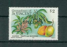 ST. VINCENT FLORA FR&Uuml;CHTE MANGO MUSTER !! FRUITS BLOSSOMS SPECIMEN !! h2194