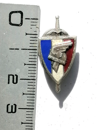 Insigne FAFL pilote / SAS Français - Selles Military Antiques