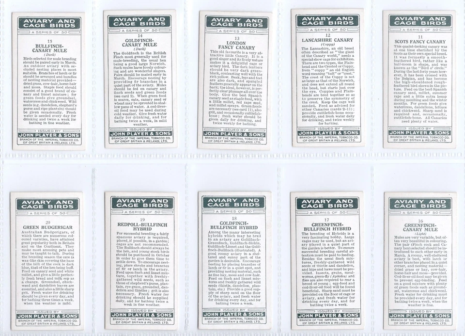 Aviary and Cage Birds Cigarette Cards Full Set of 50 issued by Players in 1933 - Image 4 of 4
