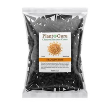 400 Jumbo Charcoal Incense Cones 2" BACKFLOW Bulk Waterfall Burner Holder Censer