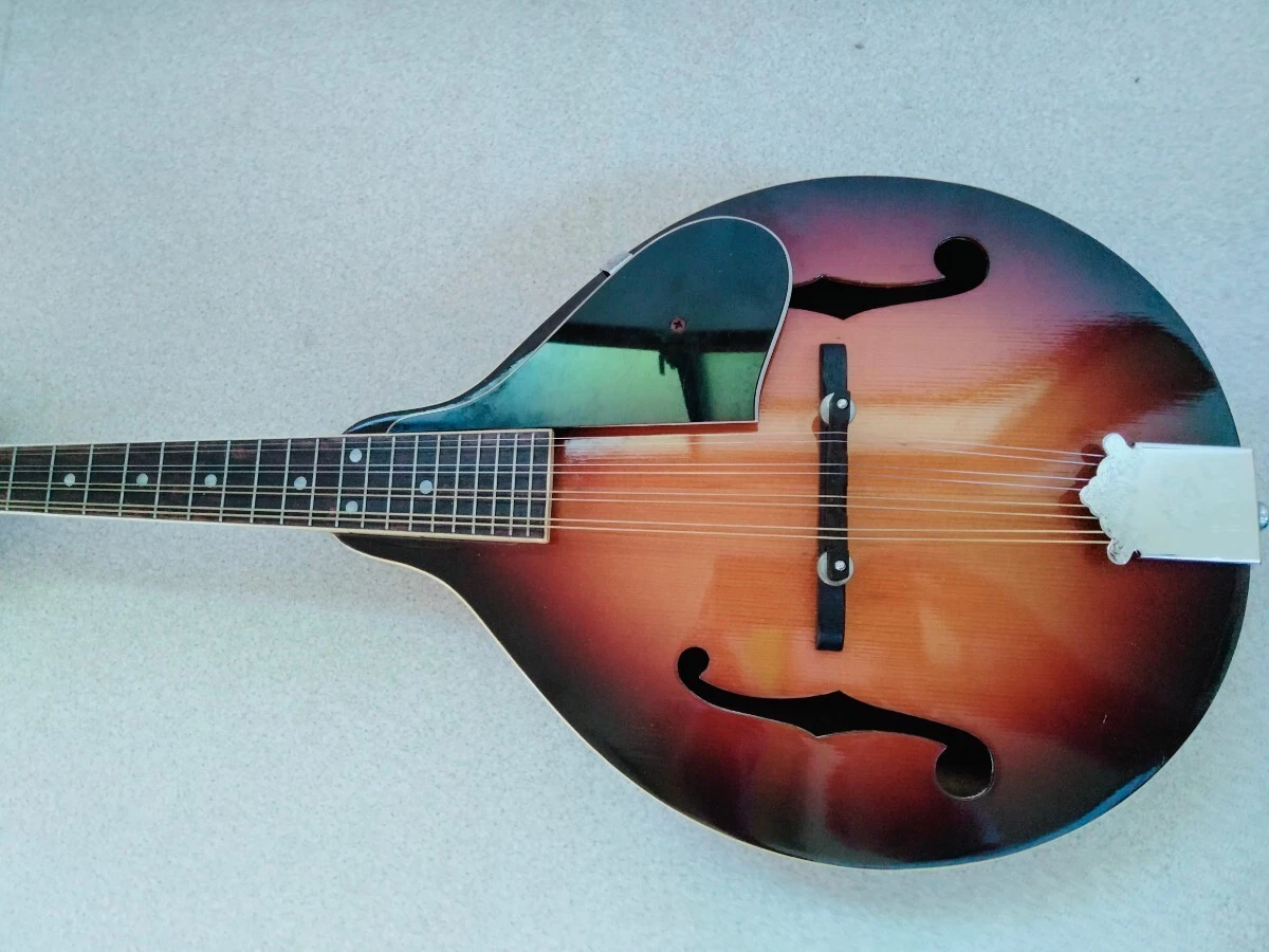 Epiphone MM-70 マンドリン | pru.edu.ng