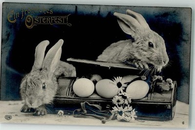 39686262 - Bunny Eggs in Bread Bag Easter Egg