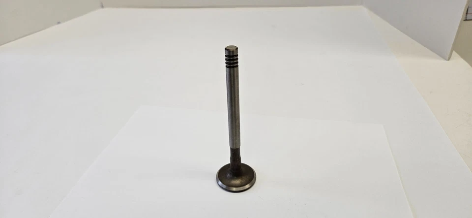 Dodge Coronet Royal Lancer 1955 Hemi V8 válvula de escape NOS 1635767. Foto 3 de 4