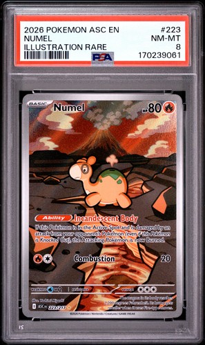 Numel graded PSA 8 for sale on eBay