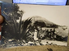 G25 Old MEXICO MEXICAN Postcard Teotihuacan Photo Picture Pyramid Cactus Woman