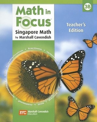MATH IN FOCUS: TEACHERS EDITION, BOOK B GRADE 3 2009 By Great Source *BRAND NEW*